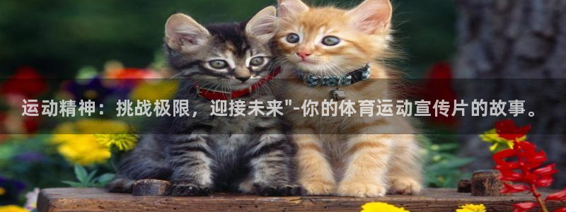 vsport体育官网下载平台注册：运动精神：挑战极限