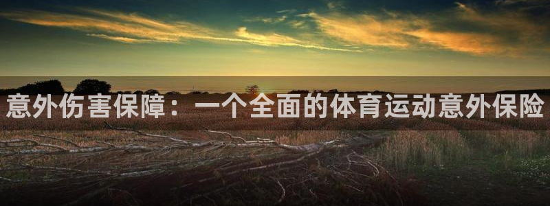 vsport体育官网下载招商电话：意外伤害保障：一个