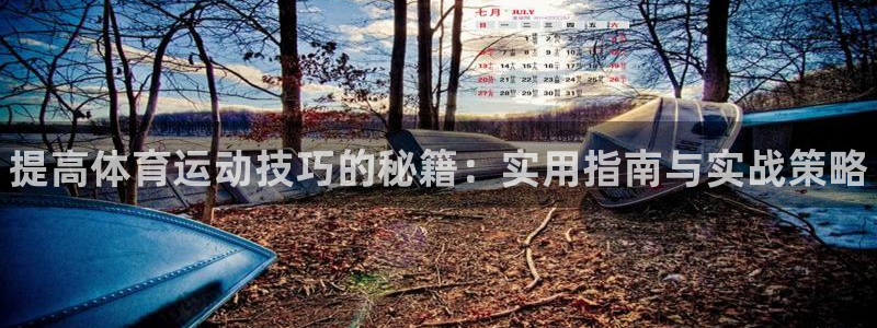 vsport体育官网下载联系电话：提高体育运动技巧的