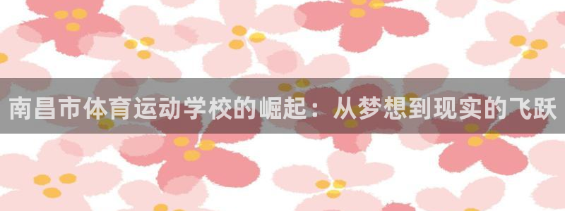 vsport体育官方正版app新能源：南昌市体育运动