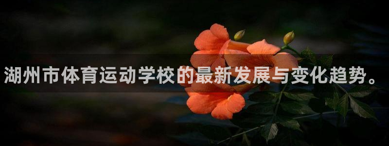 vsport体育官方正版app娱乐下载：湖州市体育运