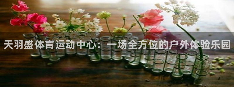 vsport体育官网下载招商电话地址：天羽盛体育运动
