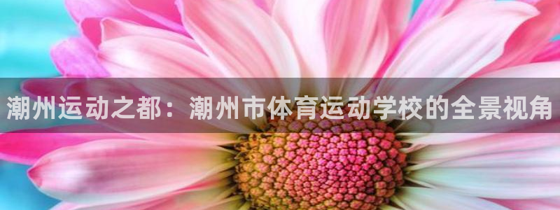 vsport体育官网下载招商：潮州运动之都：潮州市体