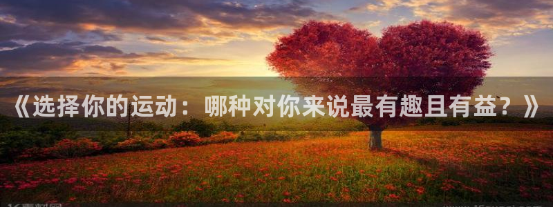 vsport体育官方正版app娱乐下载：《选择你的运
