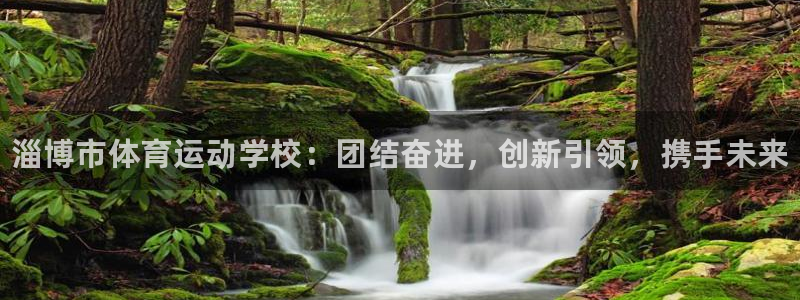 vsport体育官方正版app娱乐是那个系列的台子：