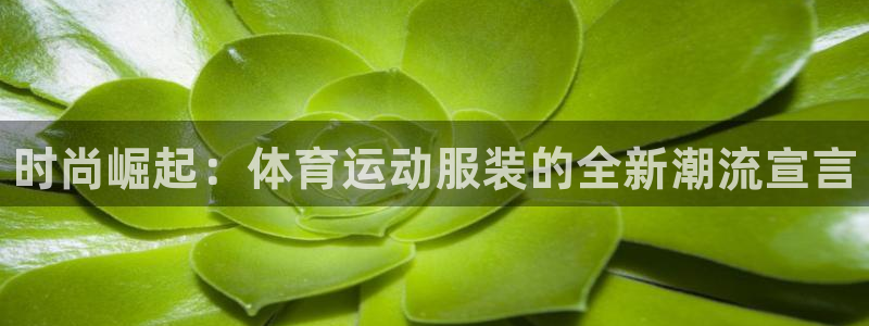 vsport体育官方正版app娱乐首页网站大全：时尚崛起：体