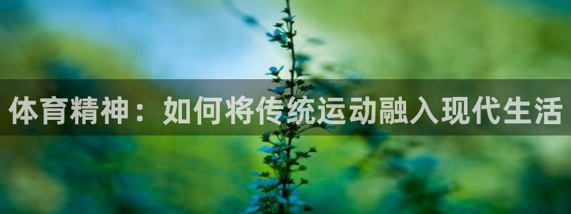 vsport体育官方正版app娱乐首页网站大全