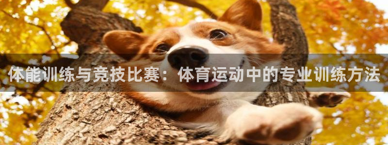 vsport体育官方正版app开户：体能训练与竞技比赛：体育