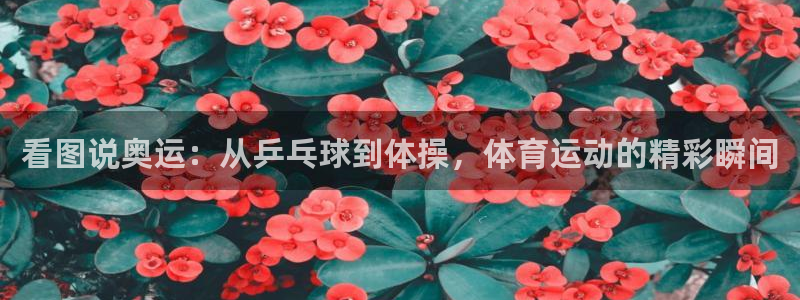vsport体育官方正版app娱乐首页网站大全：看图说奥运：