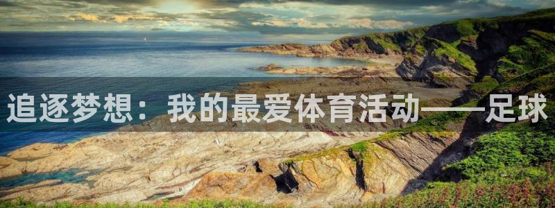 vsport体育官网下载平台是正规平台吗：追逐梦想：我的最爱