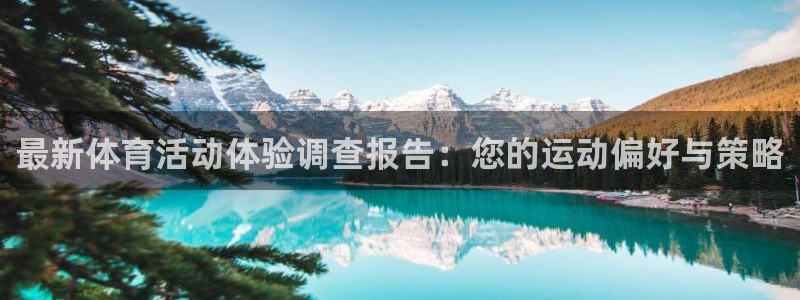 vsport体育官网下载平台：最新体育活动体验调查报告：您的