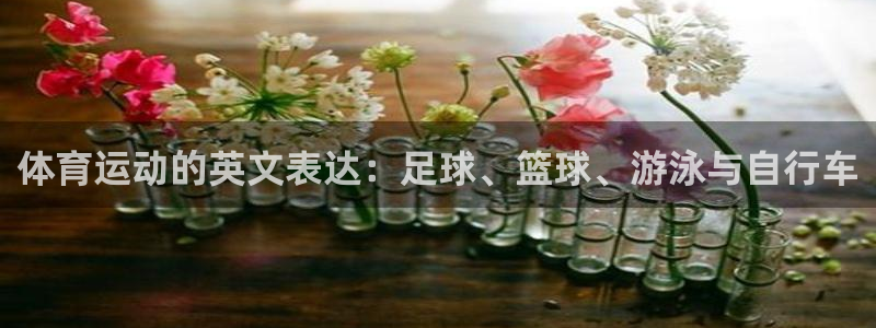 vsport体育官方正版app官方：体育运动的英文表达：足球
