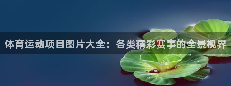 vsport体育官方正版app集团简介：体育运动项目图片大全