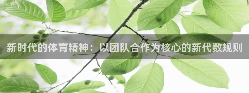 vsport体育官方正版app娱乐网站：新时代的体育精神：以