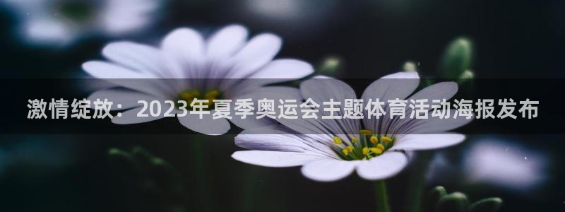 vsport体育官网下载招商电话号码是多少啊