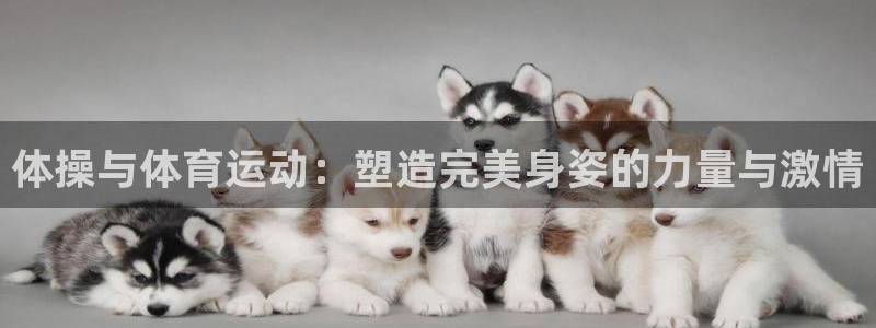 vsport体育官网下载平台注册：体操与体育运动：塑造完美身