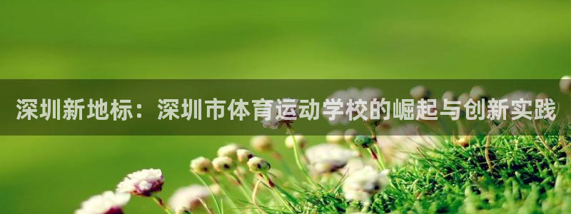 vsport体育官网下载平台是正规平台吗：深圳新地标：深圳市