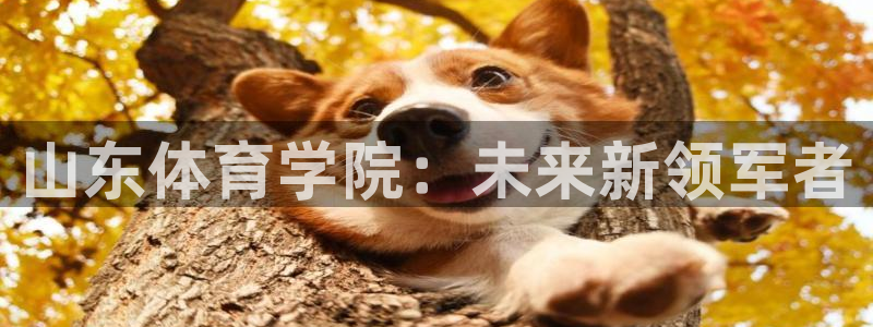 vsport体育官方正版app娱乐下载：山东体育学院：未来新