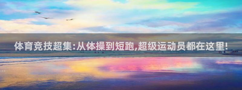 vsport体育官方正版app集团简介