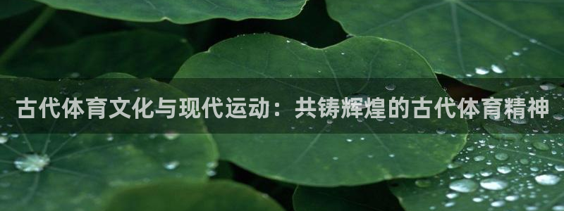 vsport体育官方正版app集团官网首页