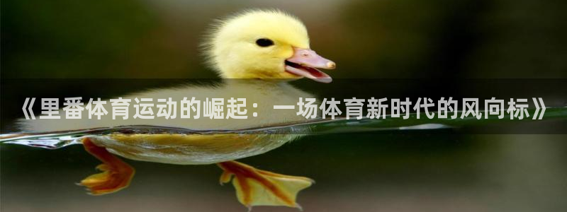 vsport体育官网下载平台假的吗是真的吗吗：《里番体育运动