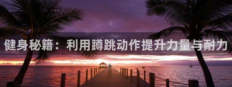 vsport体育官方平台体育