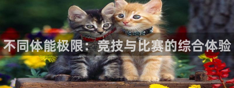 vsport体育官网下载平台是正规平台吗知乎：不同体能极限：