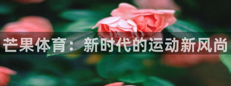 vsport体育官方正版app集团