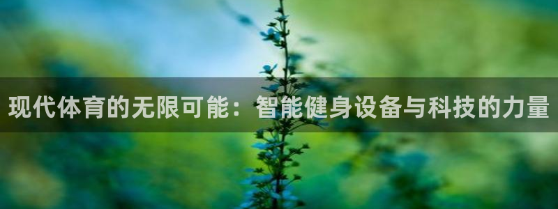 vsport体育官方正版app集团logo：现代体育