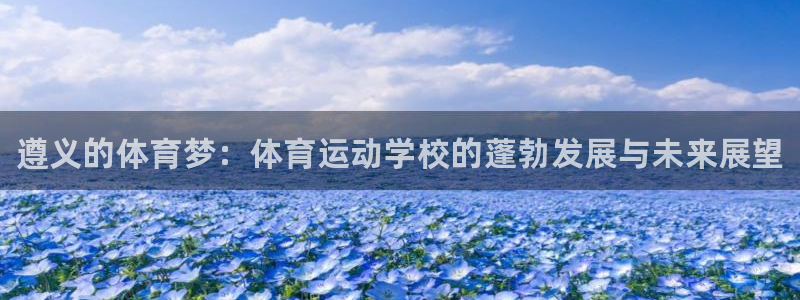 vsport体育官网下载平台APP：遵义的体育梦：体