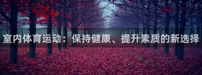 vsport体育官方正版app新能源:室内体育运动:保持健康